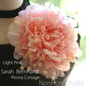 yzTxsIj[iVNNj̃RT[WwCgsNxyA[gt[z \ l 