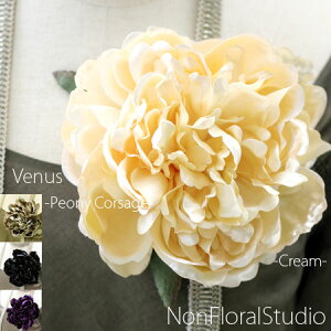 yzwB[iXxsIj[iVNNj̃RT[WuN[vyA[gt[zƎ w \