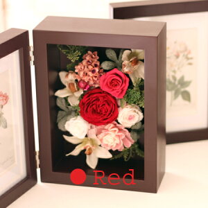 yzuEj[L[tHgt[iuEt[jvU[uh t[ Mtg a  j ̓ ̓ eւ̑蕨 LO oYj J I[v 