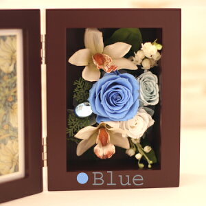 �y���������z�t�H�g�t���[�� �u���E�j�[S�[�i�u���E���t���[���j�v���U�[�u�h�t�����[ �ʐ^���� �M�t�g �a���� ���� ���� ��̓� ���̓� �h�V�̓� �a���� �L�O�� �җ� ���j�� �o�Y �J�� �I