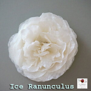 yzACX iLX RT[WizCgjyA[gt[zyzyƎzywzy\zyzwAANZT[  