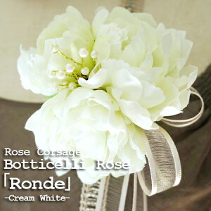 Zj[ RT[Wwhx(õRT[W)@yP[Xtzyp[zytH[}zyƁzyzyzy\zyuC_zyEFfBOzy̓zI