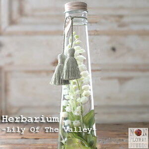 lCNo.1wn[oE ]XY]xiMtg{bNX)@a  ~Q K tX 11a 10a 20 30 40 50 60 70  v[g t[ Mtg 