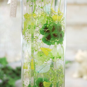 K^ԁwn[oE -lt̃N[o[xiMtgBoxjv[g CeA K^ bL[ACe  ԑ a O[CeA lC LO Aw VcNT