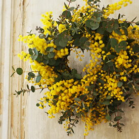 即日発送☆バレンタインに間に合う！「フレッシュ ミモザ＆ユーカリ リース』生花からドライまで楽しめます 生花 ミモザ ユーカリ リース 玄関 花 ギフト オリジナル ナチュラル ギフト ミモザの日 ミモザリース