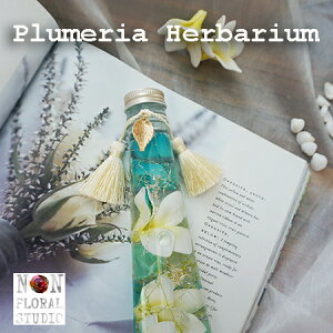 u₩ȉān[oE vA iMtg{bNXj u[ t[  Mtg 蕨 v[g hV̓ y̓z ̓ C Lk CeA nCAG C`[t 