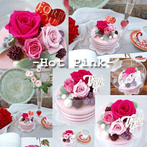 Iׂ4F t[P[LyvU[uht[z v[g t[Mtg t[AWg FB y  搶 ޏ 11a 10a a LO  j Ǝ