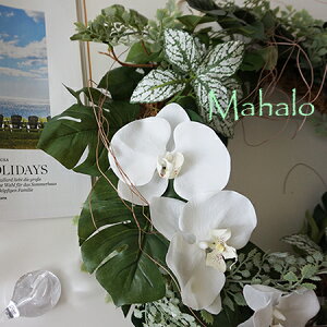 Mahalo[X`40cm` A[gt[ [X Ǐ  T}[  Xe Ӓ AWA^ Xe t nC 썑 CeA Mtg a v[g y̓z O[