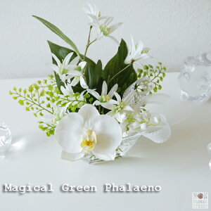 |Ă ڂȂw}WJ O[ t@mxyA[eBtBVt[z  S  v[g t[Mtg t[AWg Ӓ  tFCNO