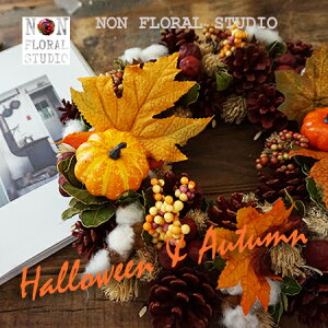 lCALO1ʁubhR[withpvL va30cmȏ nEB  u CeA fBXvC ڂ J{` nEB[X  [X pvL hA