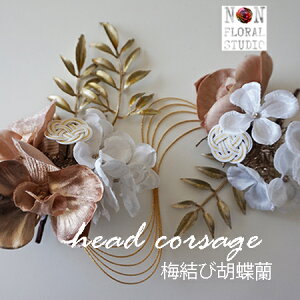 NEW w~ьӒx l  2_Zbg U Ǝ  F x[W  wA RT[W {  ʏ  yΉi a Ŋ| OB e@ ݈ߏ ʐ^