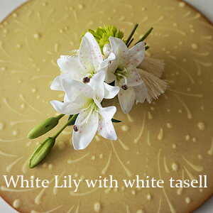yzyzwLittle Lily`S̔xIׂ3F h^bZ P[Xt wA[ANZT[  q Mtg v[g܎O l   