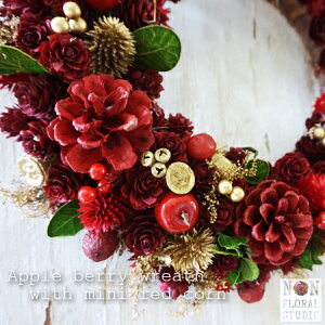 NX}X[X wAbvx[[Xx a30cmȏ NX}X  O LTCY hCt[ i`[X Mtg k hA Ǐ CeA X Xmas wreath