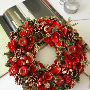 wAbvOb^[[Xx a30cmȏ NX}X[X NX}X  O LTCY hCt[ i`[X Mtg k hA Ǐ CeA X Xmas wreath