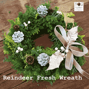 y\̔zyԁzgiJC̃tbV[X M25cmyԁzy{z NX}X[X qbQ k  hA Ǐ }V CeA i` Mtg v[g NX