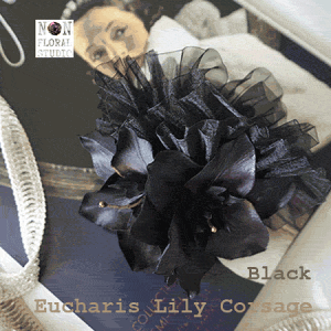 NEW!wEuchalislily Corsagex[`X[̃RT[W { I[KW[ RT[W P[Xt  IWi Ǝ w  RT[W  X[c    