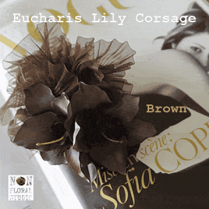 NEW!wEuchalislily Corsagex[`X[̃RT[W { I[KW[ RT[W P[Xt  IWi Ǝ w  RT[W  X[c    