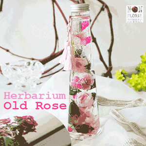 n[oE ]I[h[YiMtg{bNXj 5 6 ΂ sN 蕨 Mtg t[AWg v[g o ybp[x[ e ` 20 30 40 50 60 70 