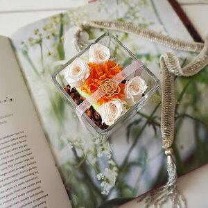 yIׂ4Fzu|vL[u vIׂ4F a IWi Mtg ɏA} v[g ̓ J[l[V o x_[ LO  CeA A}v vU[uht