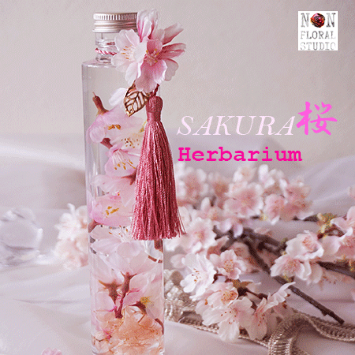 楽天市場】ハーバリウム ‐零桜‐(ギフトBox入り) 春 記念品 送別 花束