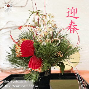 y }t 2025 z}tAW VrW[   A[gt[  vU[uht[ Vt  AWg  VN 叼 N  }t  