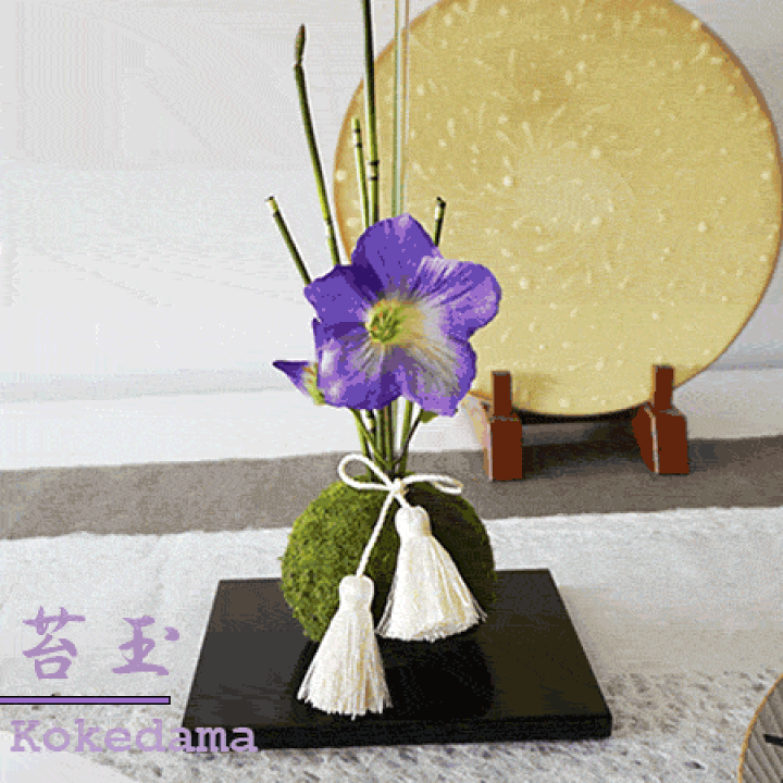 楽天市場】苔玉-桔梗（黒台付き）和 モダン フェイクグリーン アート