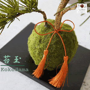 ★木製 渦巻き型 苔玉用育成鉢 傷汚れ有り a0469 ☆木製 渦巻き型 苔玉用育成鉢 傷汚れ有り a0469