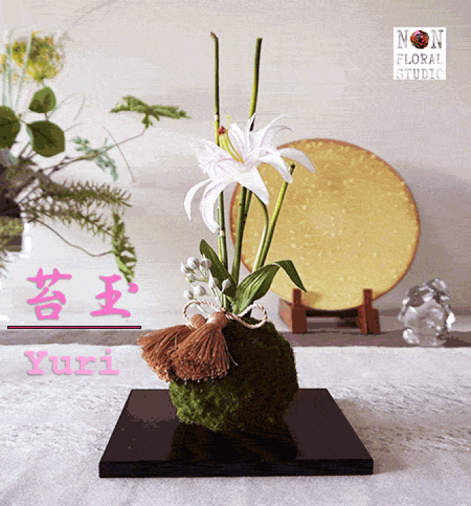 楽天市場】苔玉-百合（黒台付き）和 モダン ダブルリリー フェイク