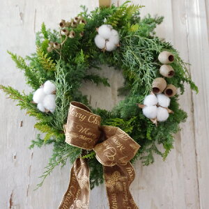 yP5{zLO1! yԁzyLbgz tbV NX}X[X RbgwMTCYxa25cm Iׂ郊{3F  { NX}X   Ǐ CeA O