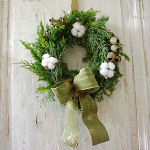 LO1! y\̔zyԁzyLbgz tbV NX}X[X RbgwMTCYxa25cm Iׂ郊{3F  { NX}X   Ǐ Ce