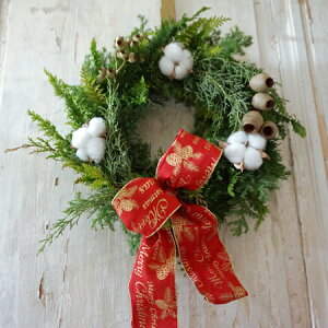 y\̔zyԁzyLbgztbV NX}X[X RbgwMTCYxa25cm Iׂ郊{3F  { NX}X   Ǐ CeA O[