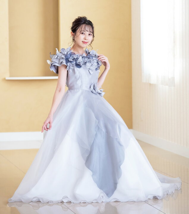 楽天市場】ロングドレス 演奏会 袖付き 演奏会用ドレス カラードレス  