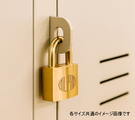 同一キーの南京錠　25mm（単品）　同一サイズを複数個ご購入時に便利！カギの管理も楽々♪メール便可 ア…