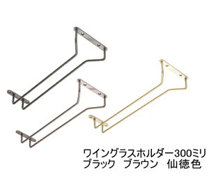 COXz_[ OX݂ 哿F /uE /  ubN 30cm (300mm)  OXz_[ COX[ OXbN COXnK[ hCjObN V