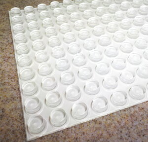 Ɩp600Zbg ܖ NA[op[ BS-6  [  ˓NbVS ˓ ~ ~ ˓ Ƃ V[ E^NbVV[ ׂ~