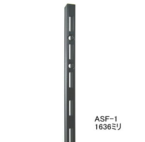  `lT|[g 1636~ AubN ASF-1 C 1{Pʔ̔  I󂯃[ K` I I󂯋p IDIY L^ bN쐬 Ǖt[  Lb` AeB[N