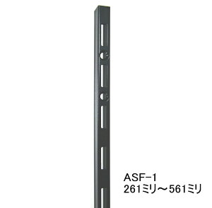 ASF-1 `lT|[g 261~`561~i50~Pʂł̃JbgI[_[i@K]̒IтjAubN  I󂯃[ K` I I󂯋p IDIY L^ bN