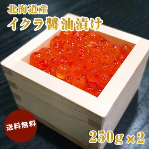 CN ݖЂ 500g(250g×2) kCY ō   ݖЂ kC   O Mtg v[g j  a LO 蕨  Ε TvCY 
