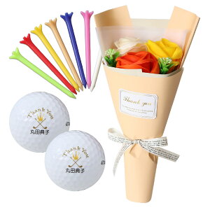 Ή St{[  y \[vt[utFA[vu[P  St{[  Ж 2 Jt eB[ 14{Zbgz StObY ԑ v[g Ό  hV