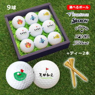 即日発送 ゴルフボール 名入れ (2面印刷) 9個＆ ティー 2本 セット / 名入れ ゴルフボール プレゼント ギ…