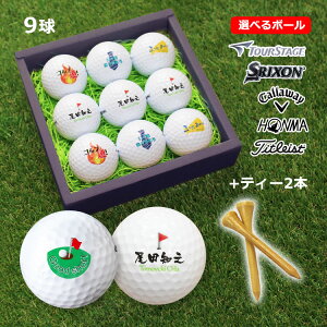 ゴルフボール 名入れ 即日発送 ゴルフボール名入れ (2面印刷) 9個＆ ティー 2本 セット / ブリヂストン スリク