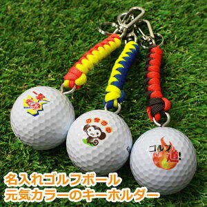 ŒZ͂ij St{[  yL[z_[z CJ[ pR[hy1z St {[ O 蕨 Mtg v[g z[C LOi StRy 