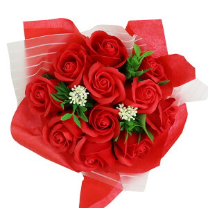  \[v t[ u[P ԑ S5Fi񂰑ܕtj ~ju[P X^fBOu[P \[vt[ ԑ ̓ ԑ Mtg v[g a NX}X  EFfB