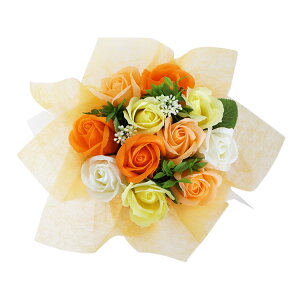  \[v t[ u[P ԑ S5Fi񂰑ܕtj ~ju[P X^fBOu[P \[vt[ ԑ ̓ ԑ Mtg v[g a NX}X  EFfB