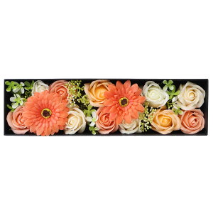 Ή \[vt[ X{bNXM `S5FiE{tj K[x KN o \[v ԑ   v[g LO ސEj ̓ o^C hV̓ j 