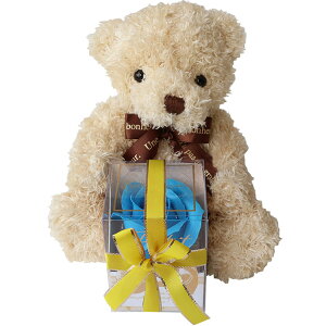 ŒZ͂ijHugHugefB { t[ZbgS oXtOXuPetitiv`jv^ Hug nO ܂̂ʂ ʂ efBxA Teddy bear  xA ʂ  