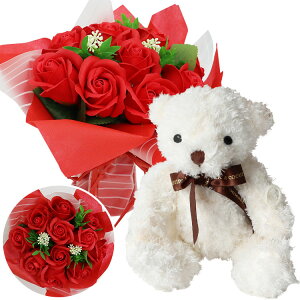 ΉyHugHugefB t[ZbgL \[vt[u[PiX^fBOu[Pjz \[vt[ ʂ efBxA u[P  LO i ސEj  Ǝ 