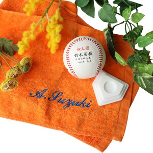 싅 cLOi Mtg3_Zbgy}t[^IiO̎hイj{Oʐ^싅{[iʈj{tZbgz ^I O hJ ƋLO 싅{[ 