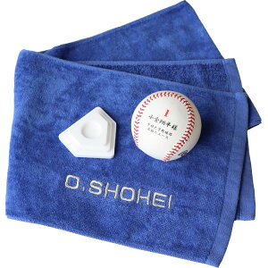 싅 cLOi Mtg3_Zbgy}t[^IiO̎hイj{Oʐ^싅{[iʈj{tZbgz ^I O hJ ƋLO 싅{[ 