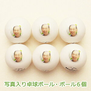 싅{[ ySEʐ^6z yWpgbvN[gz 싅 {[ ʐ^ @s|ʁ@蕨@Mtg@v[g@LOi@ii@hV̓@̓@ސEj@a